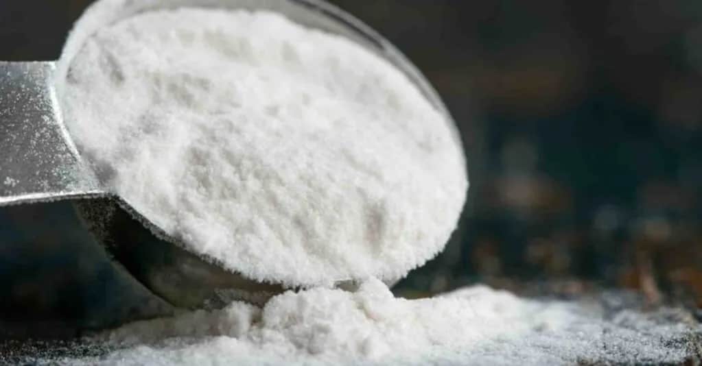 Co daje cytrulina przed treningiem? Sprawdź, jak poprawia wyniki