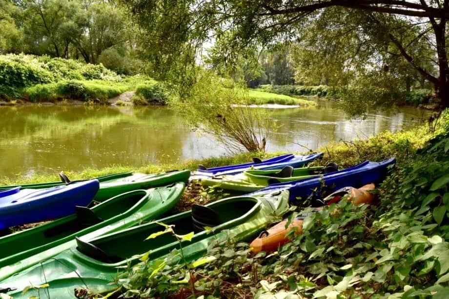 Ile kosztuje spływ kajakiem? Sprawdź ceny i ukryte koszty wypraw