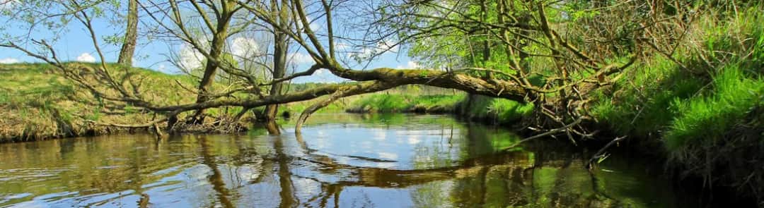 Spływ kajakowy Grabia: najlepsze trasy dla każdego poziomu umiejętności