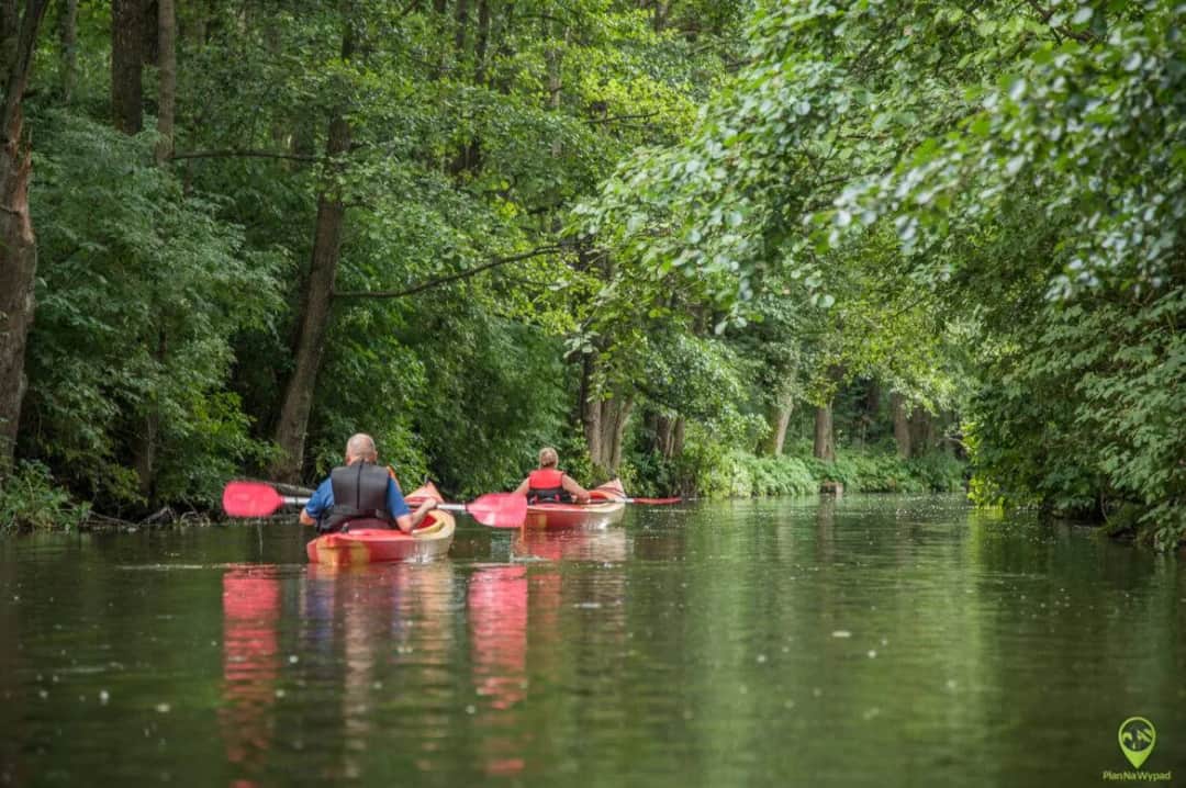 Spływy kajakowe Rospuda – trasy, porady i najpiękniejsze widoki