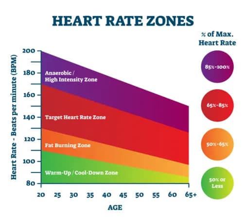 Jakie tętno podczas treningu cardio zapewni najlepsze efekty?